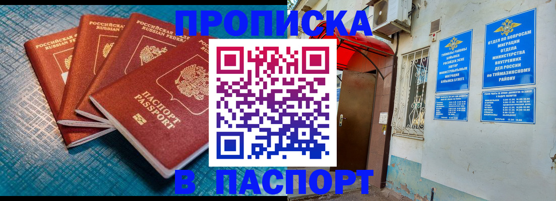 прописка иностранных граждан в Павловске
